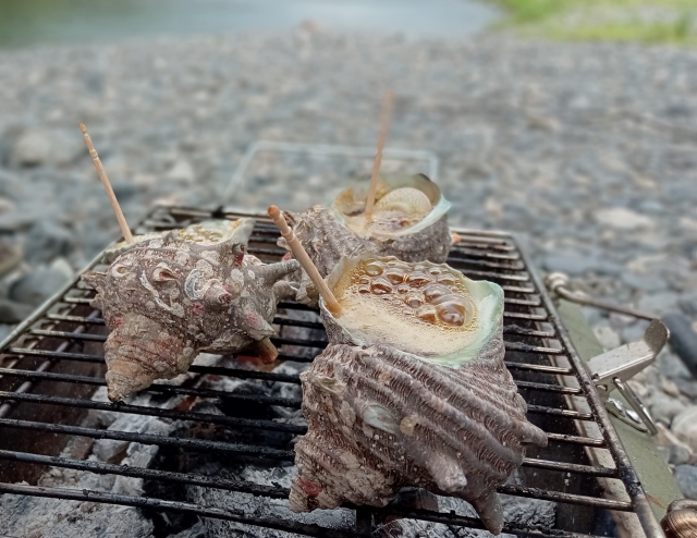 焼きさざえ